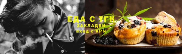 индика Бугульма