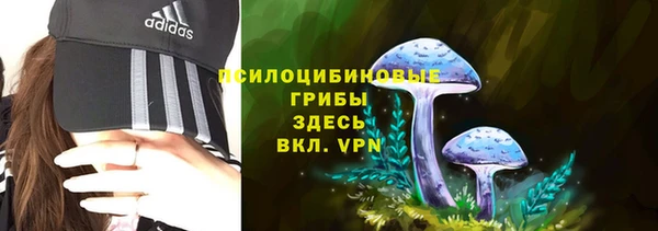 стаф Богданович