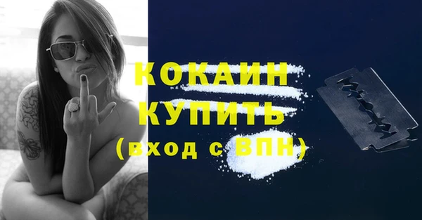 стаф Богданович