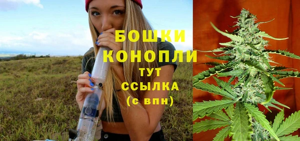 стаф Богданович