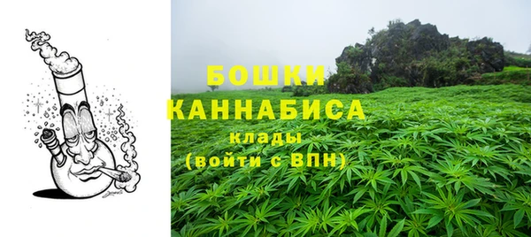 хмурый Богородицк