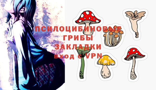 индика Бугульма
