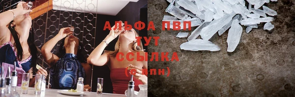 индика Бугульма