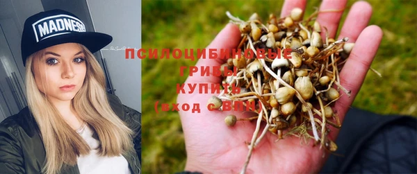 прущий лед Бородино
