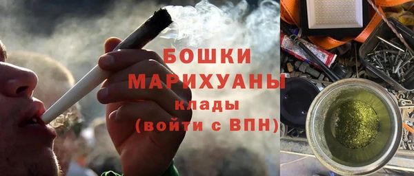 стаф Богданович