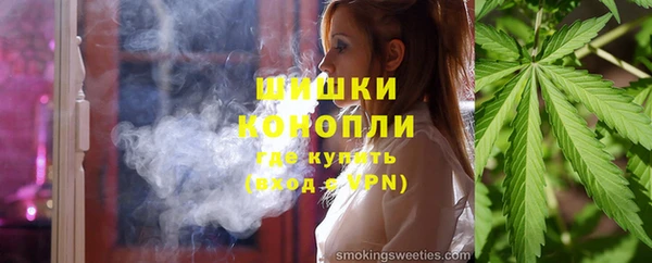 прущий лед Бородино