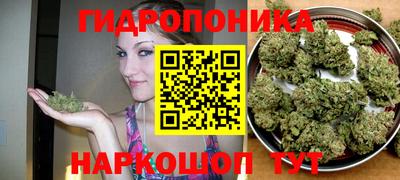 шишки Ангарск