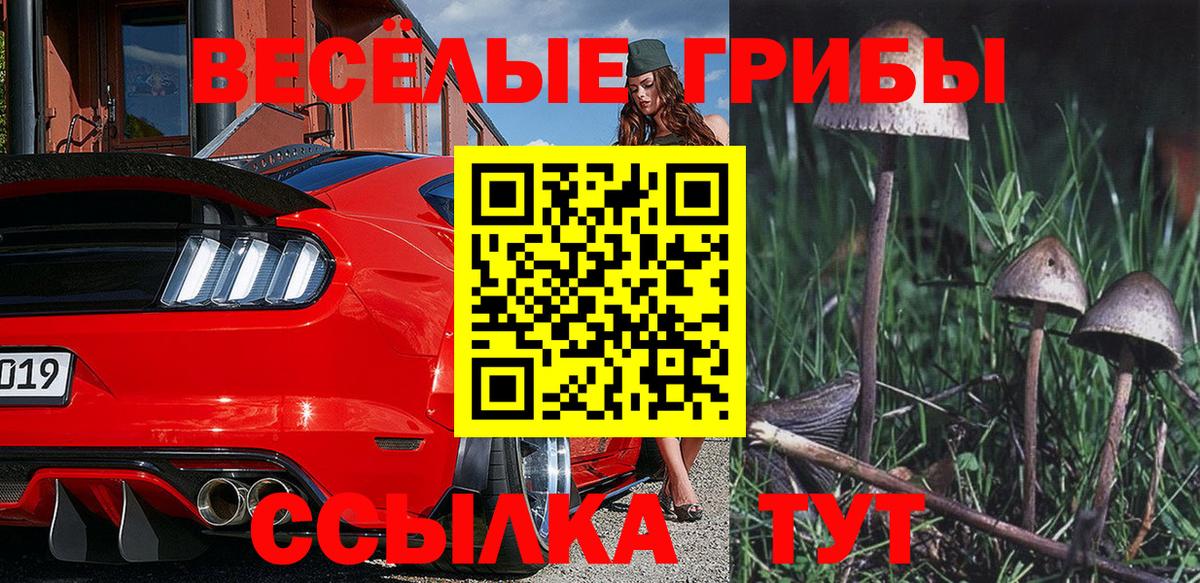 Псилоцибиновые грибы мухоморы Видное