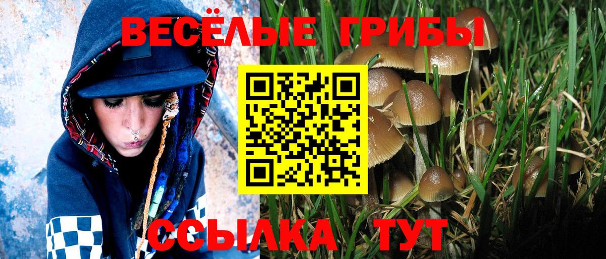 Видное  купить наркоту  Вход с VPN  Псилоцибиновые грибы мицелий 